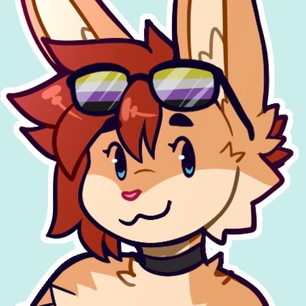 💛🤍Punk Bnuuy💜🖤