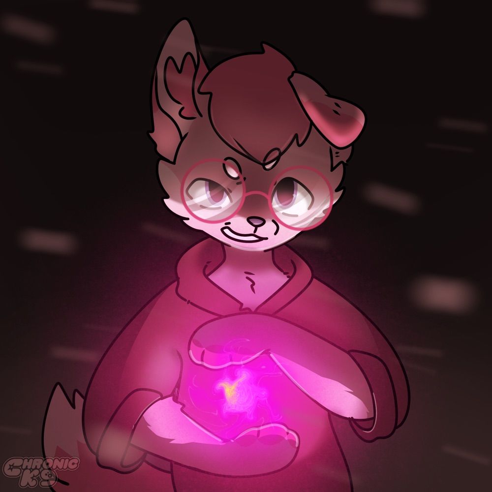 ✨🌸CoriTheCorgi🌸✨