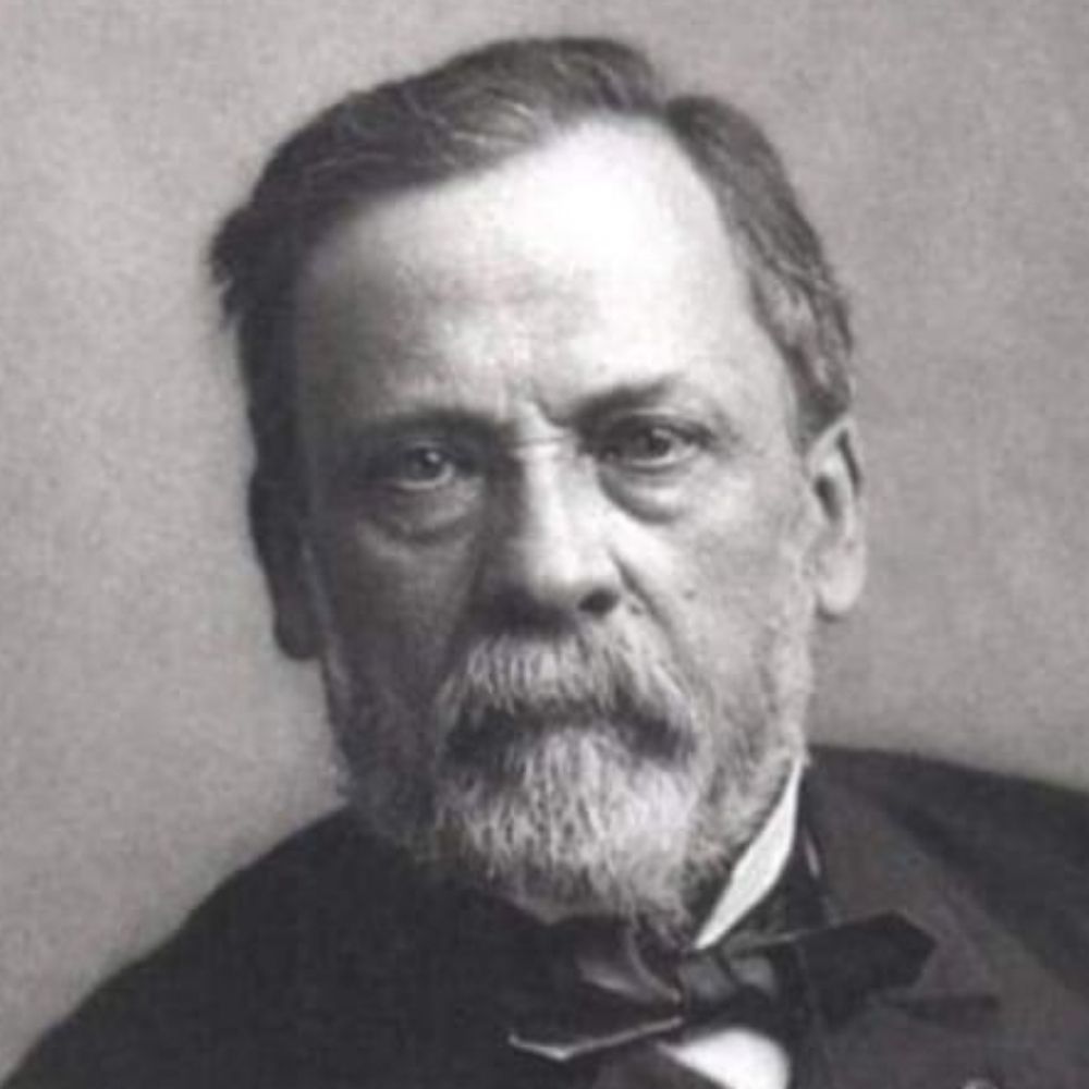 Rafael Comarela 