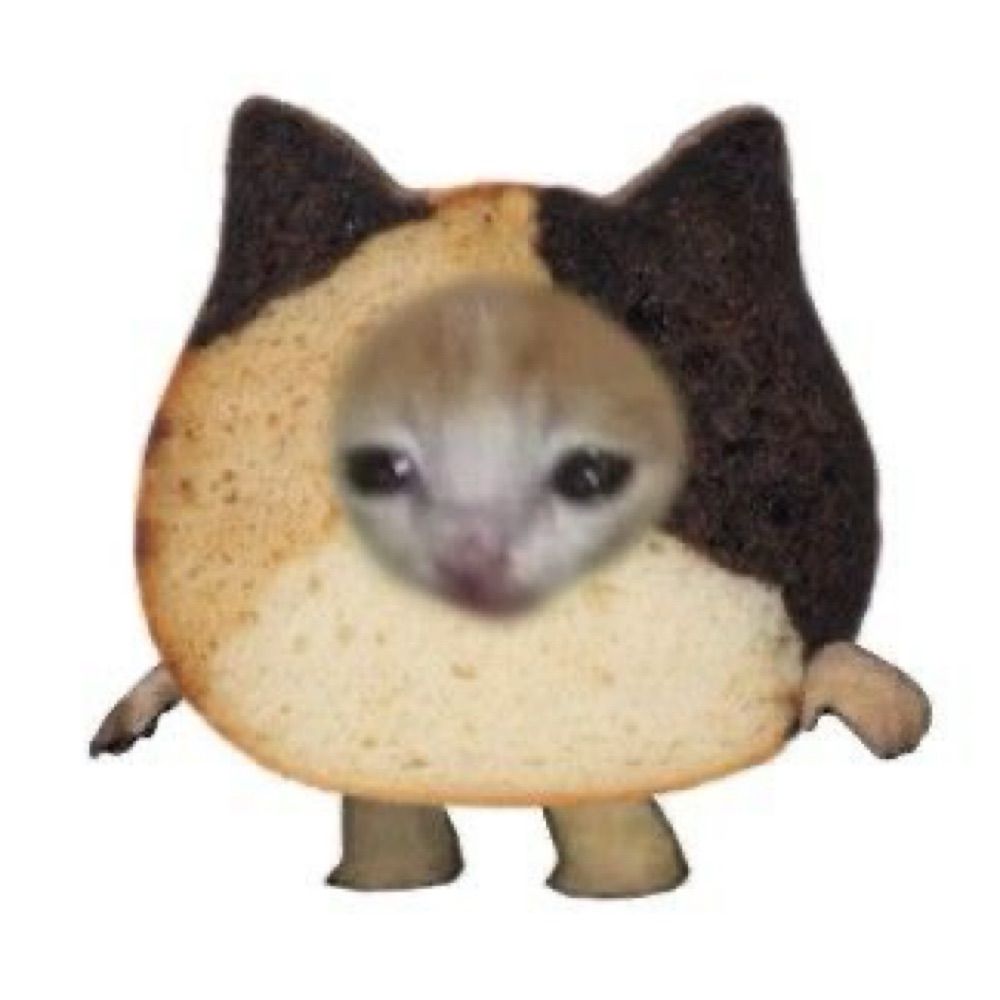 Evelinakitten