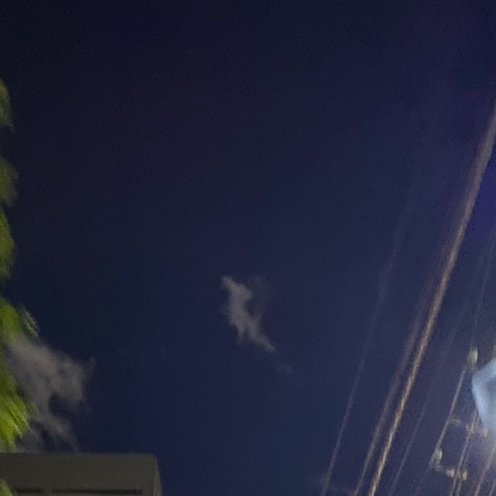 瀬