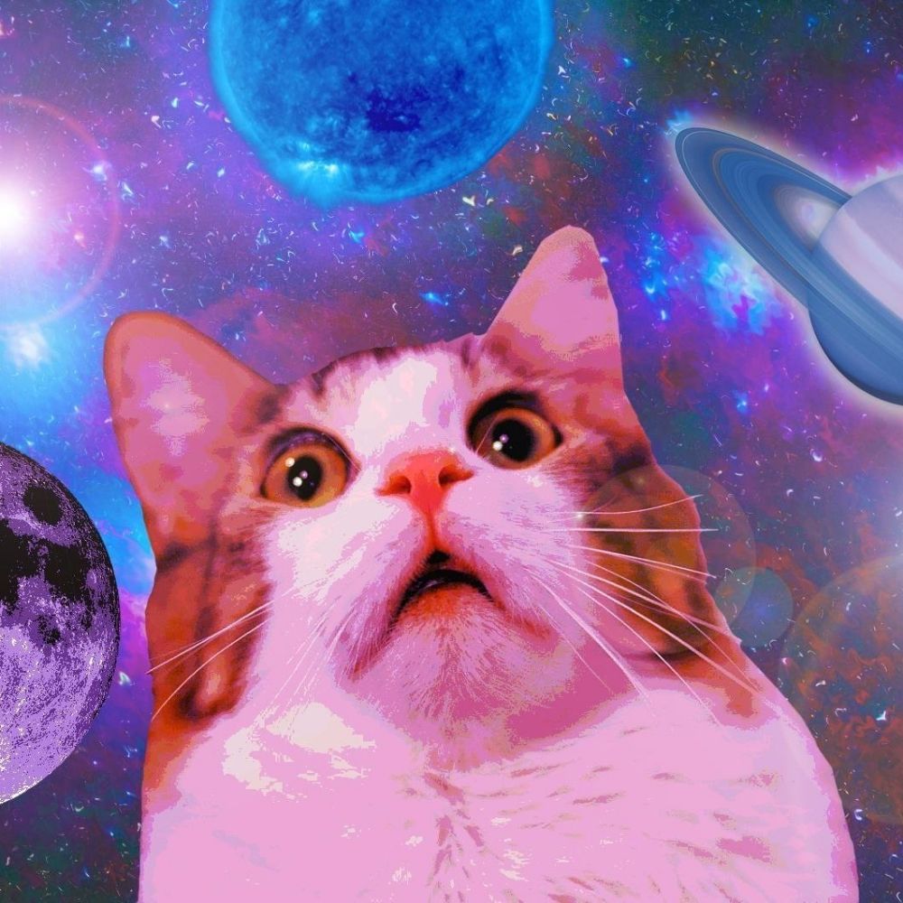 Michi-galactico 💫😸💫