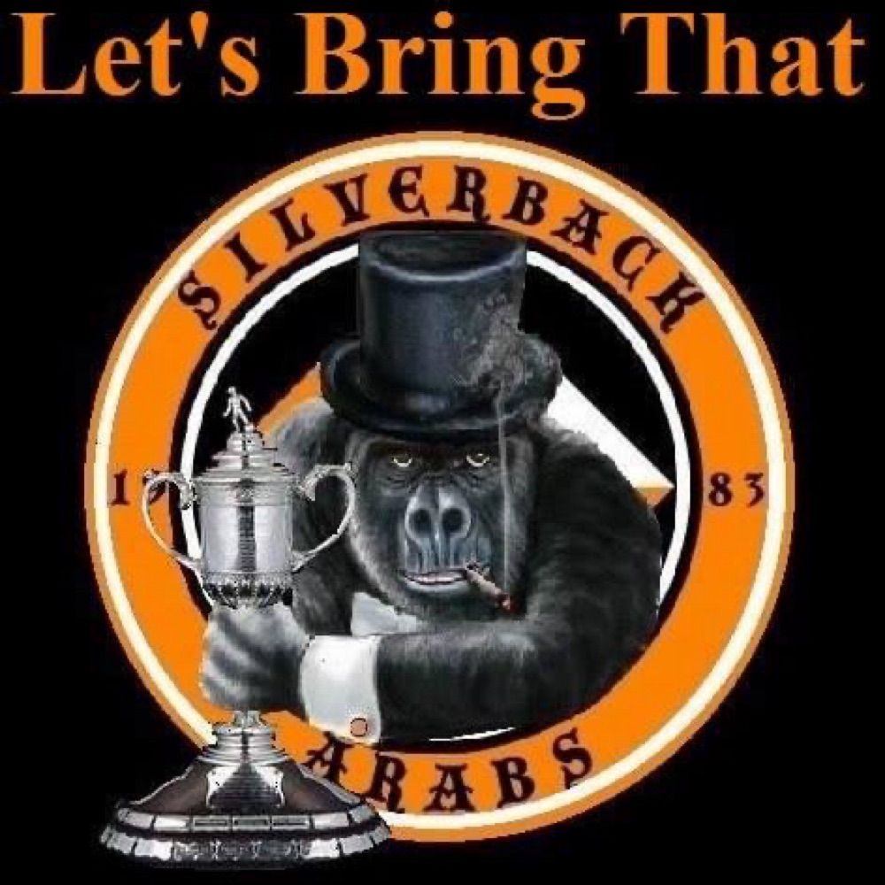 Mr Silverback