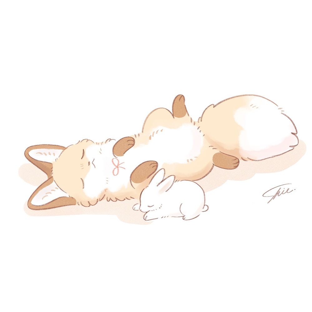 しらの部屋🦊sub