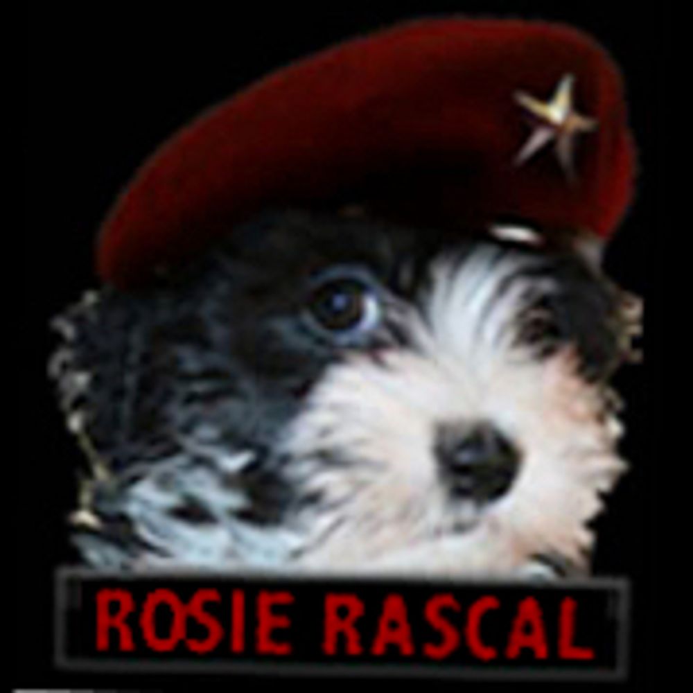 Mary Lynn aka RosieRascal