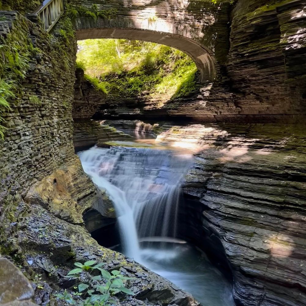 familyTravelsUSA