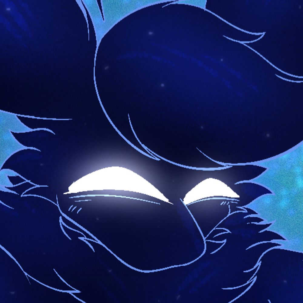 ✨💙NightlyFlare💙✨