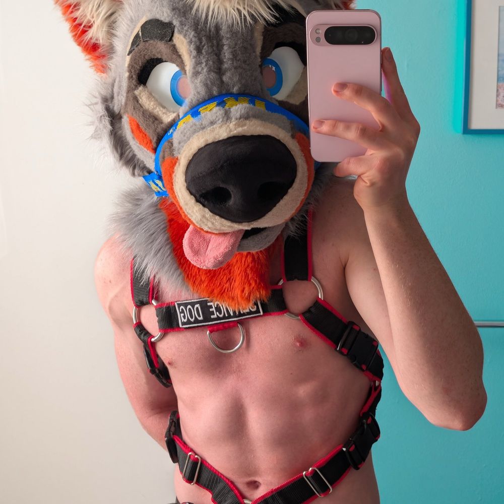 Pup_Ryan