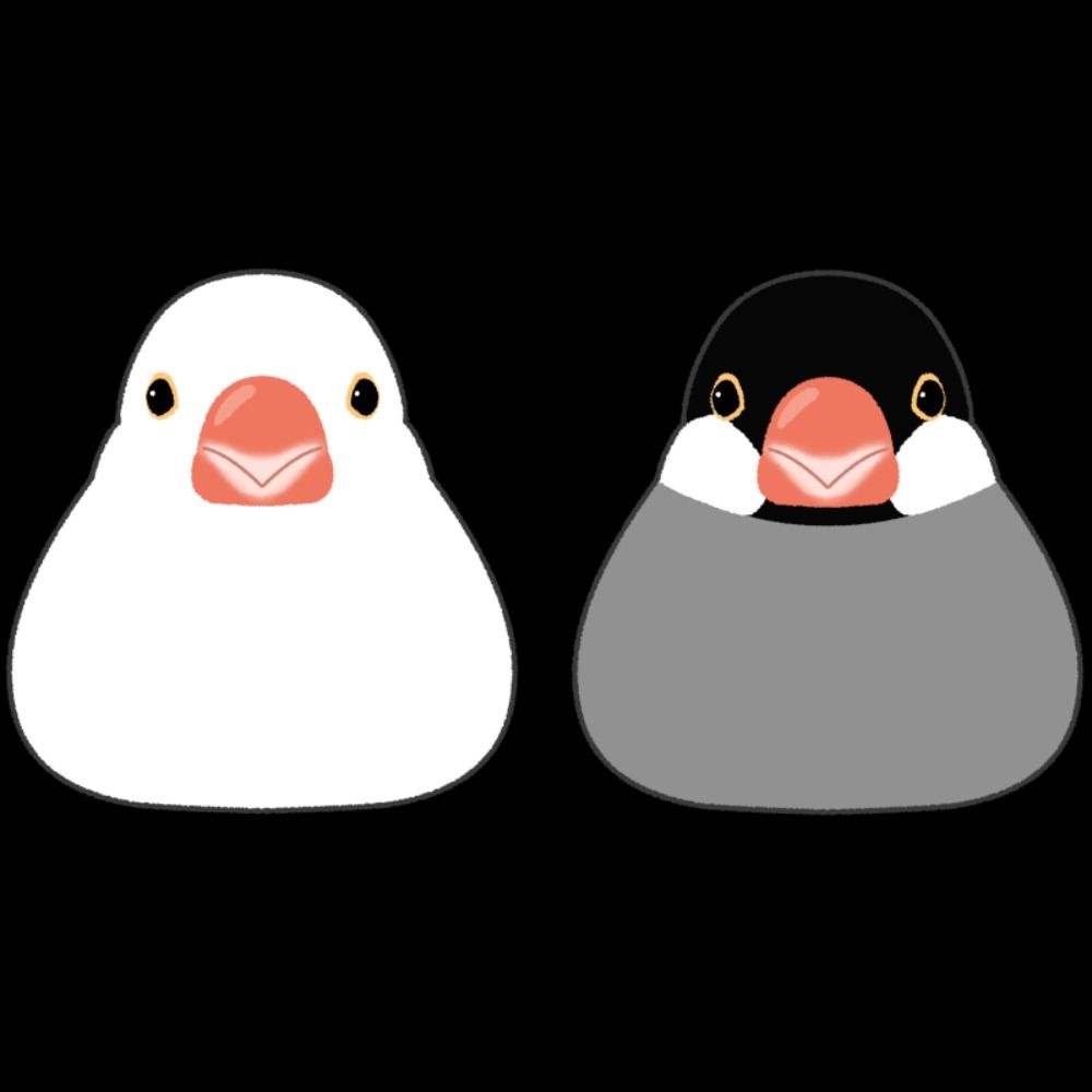 さんご🦜