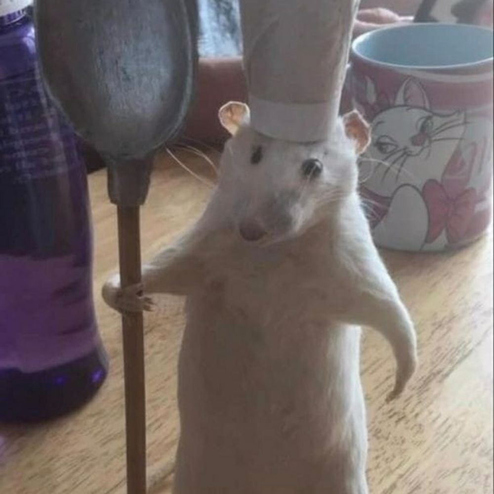 ratatule