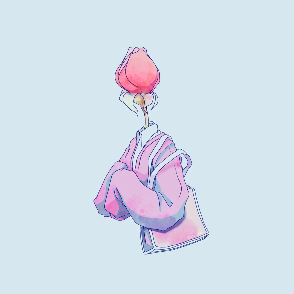 蕾