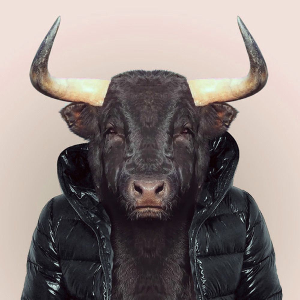 torito
