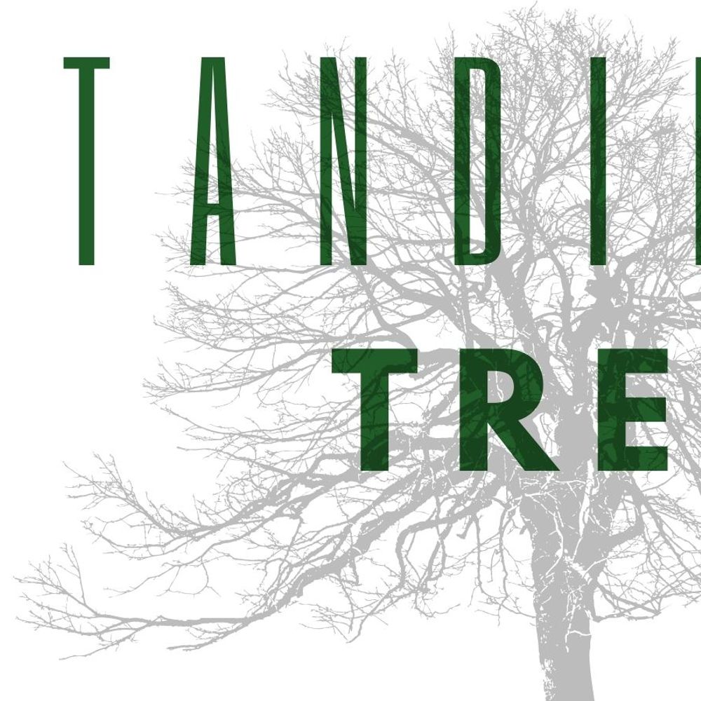 Standing Trees
