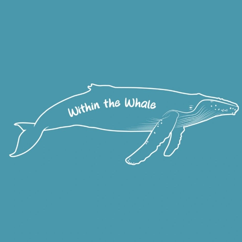 Within the Whale