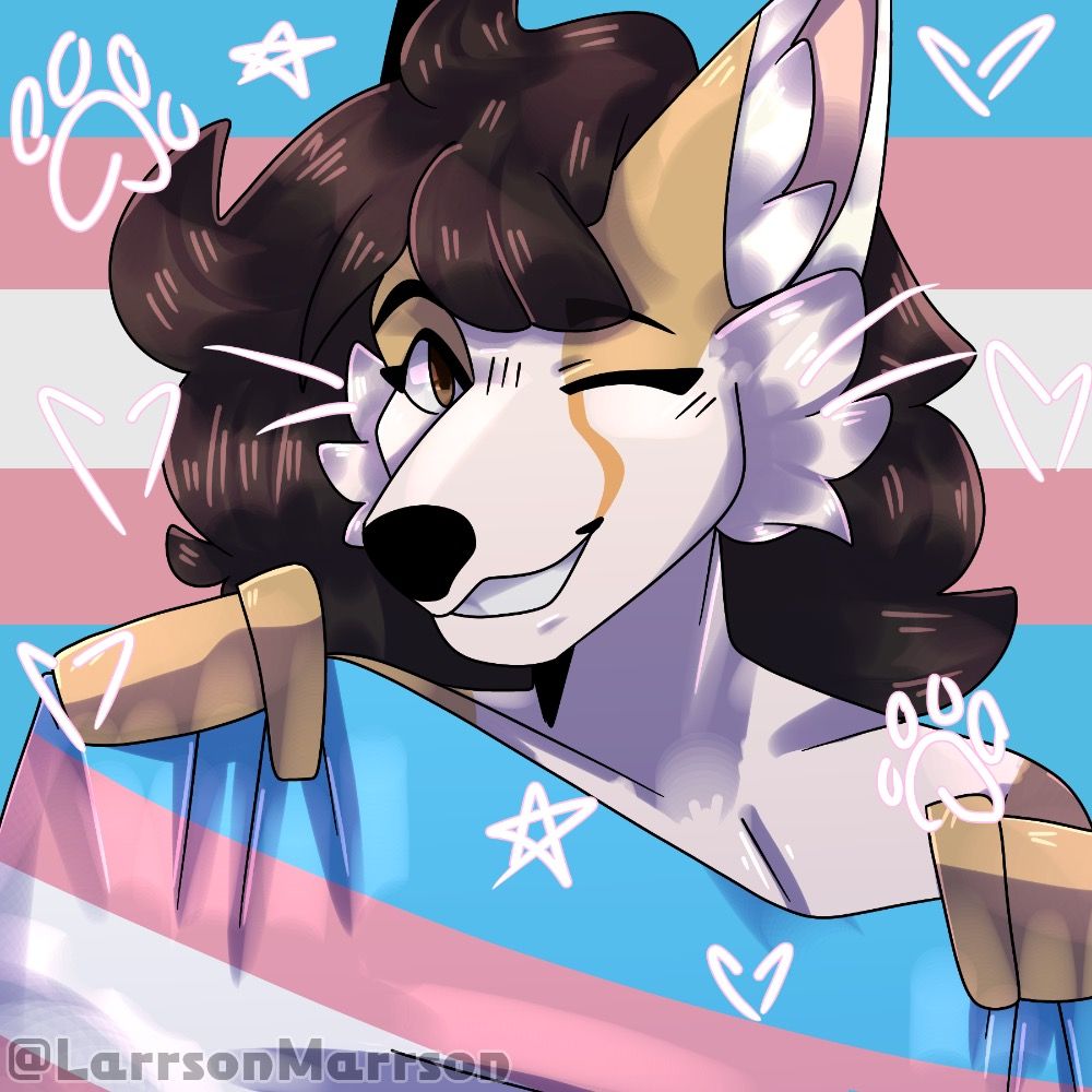 SparklePawz