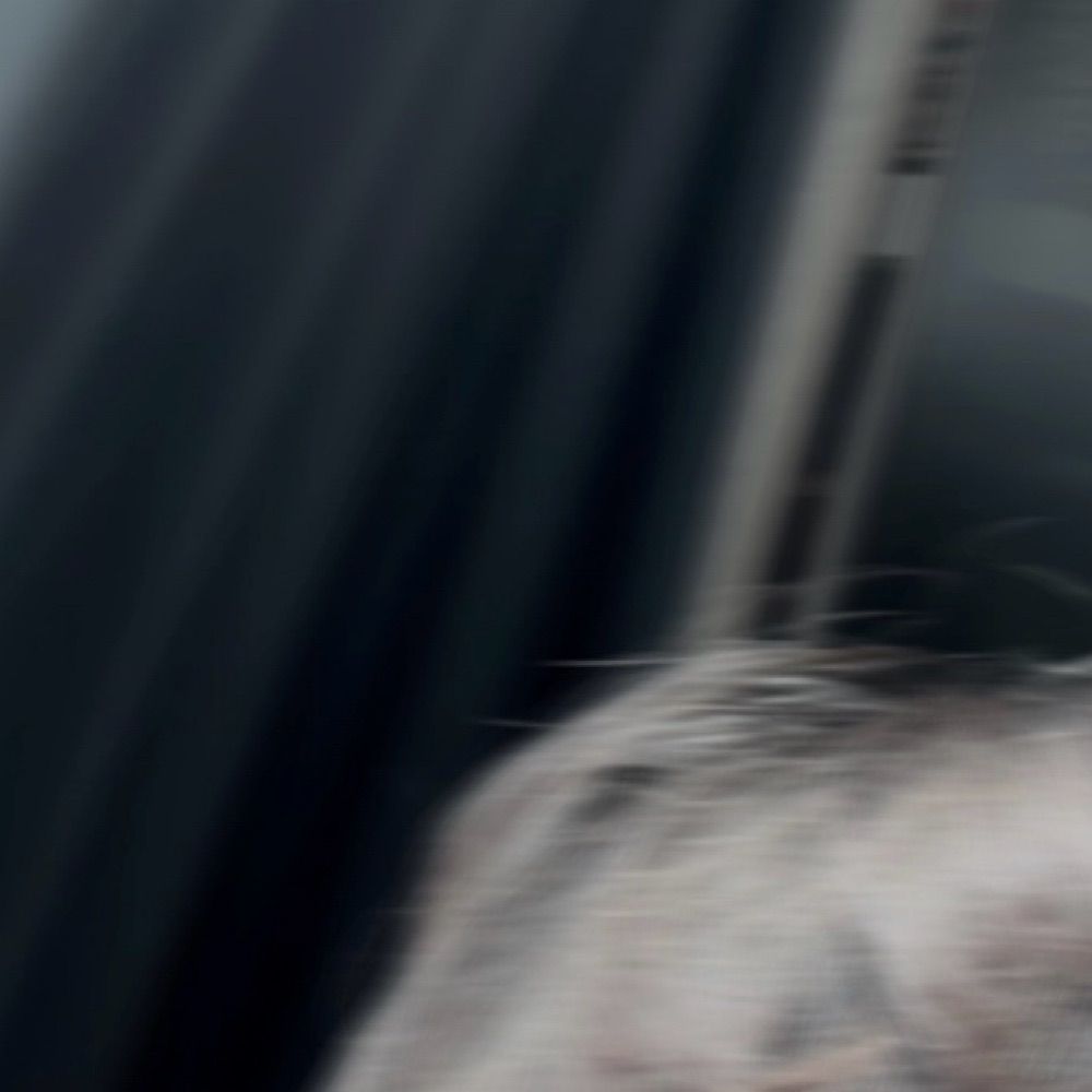InvisibleTF
