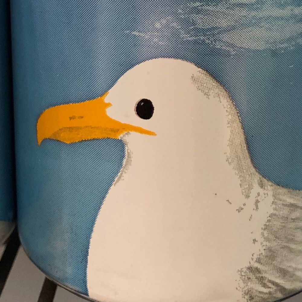 생존건축