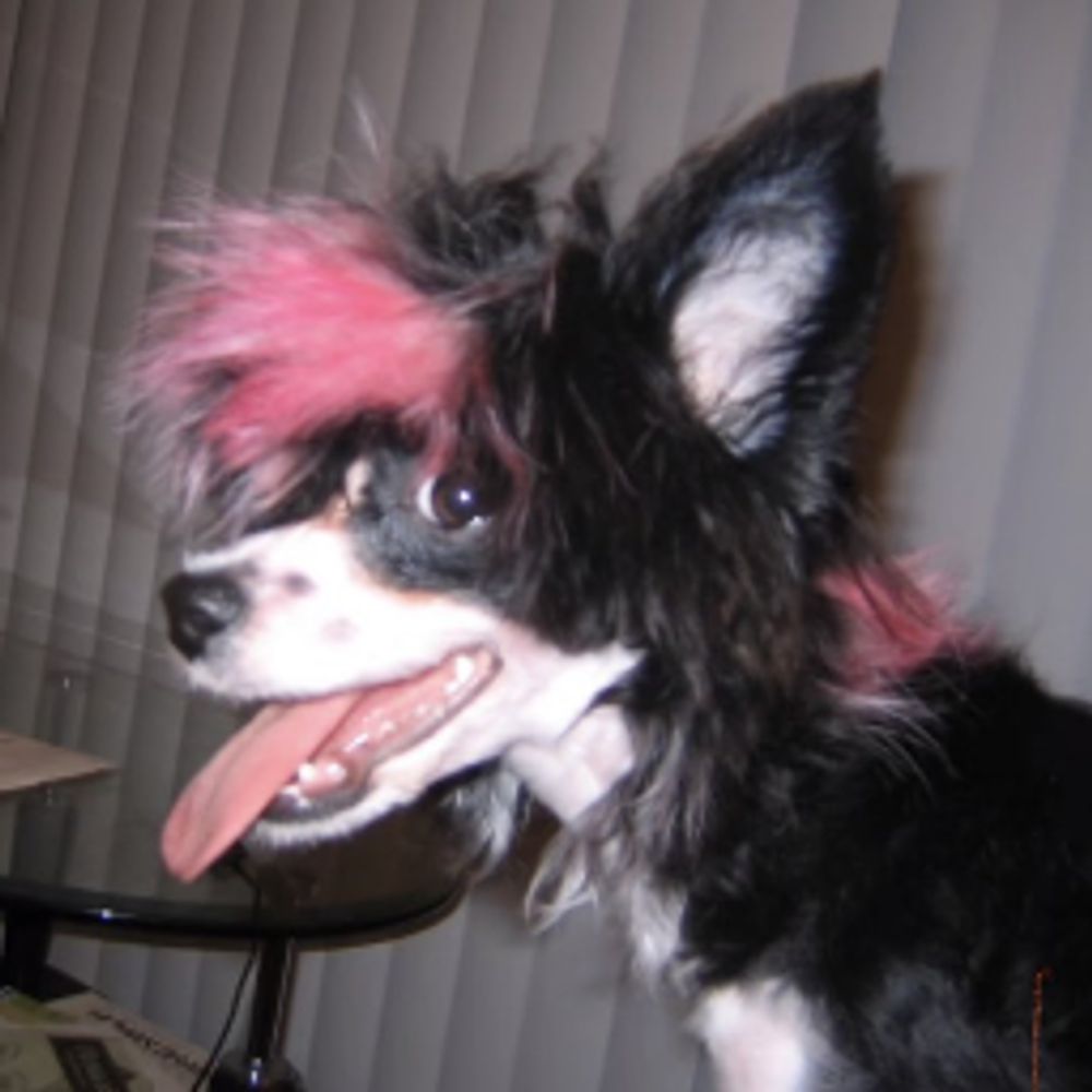 spoofurr