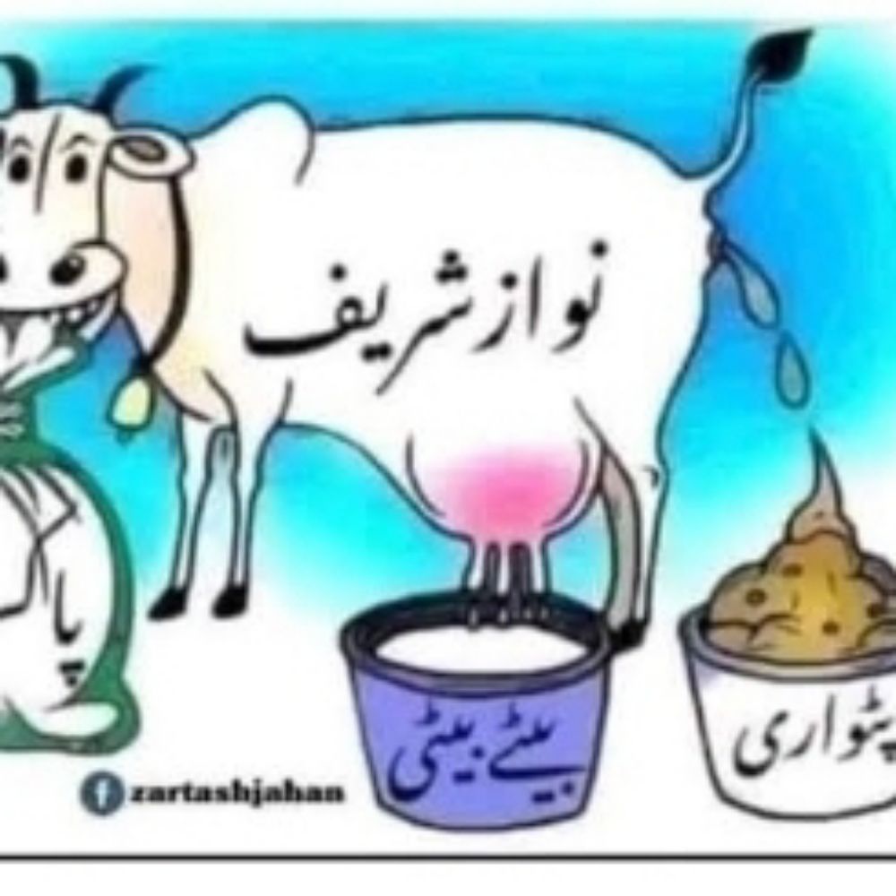 پٹواری مار گولیاں