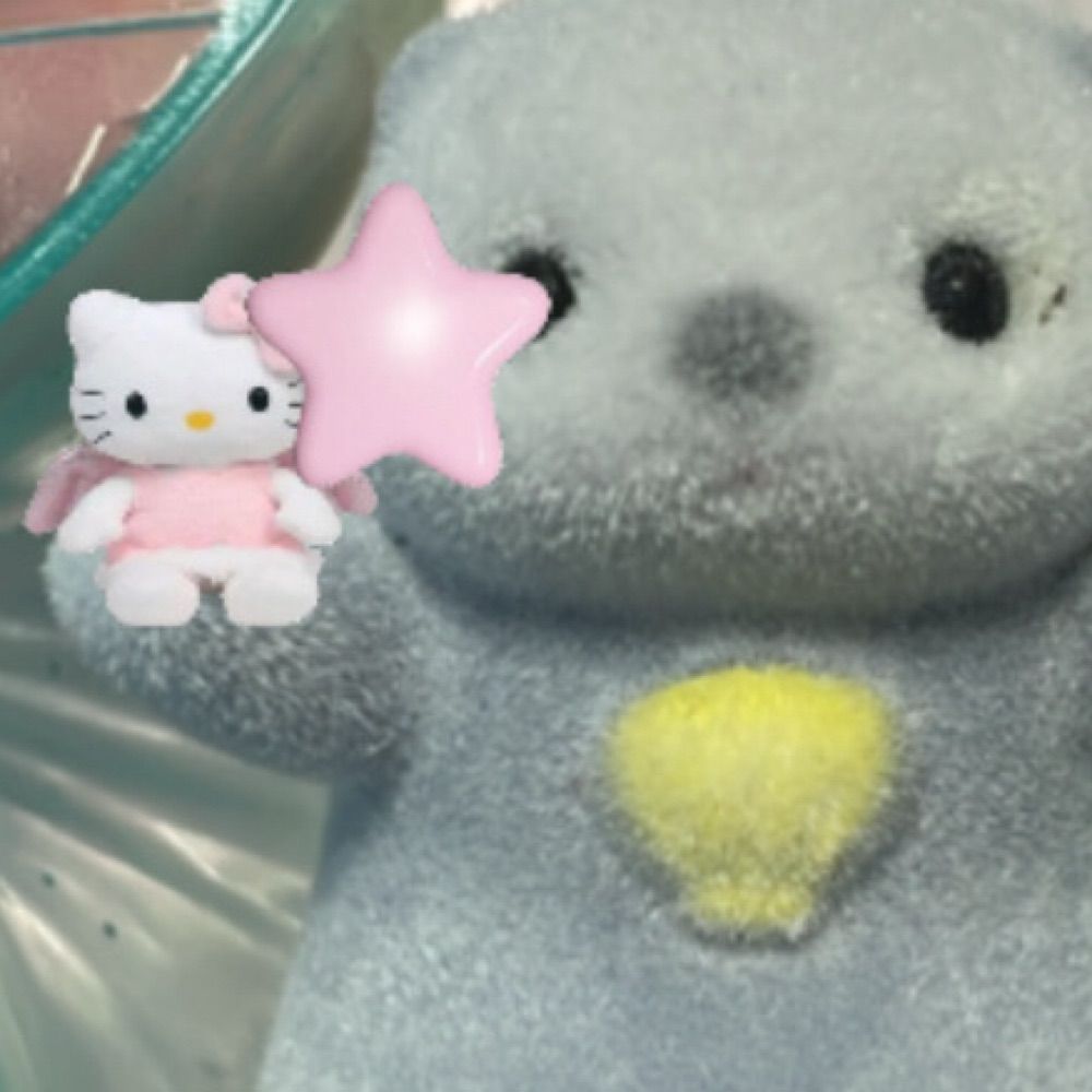 ここち