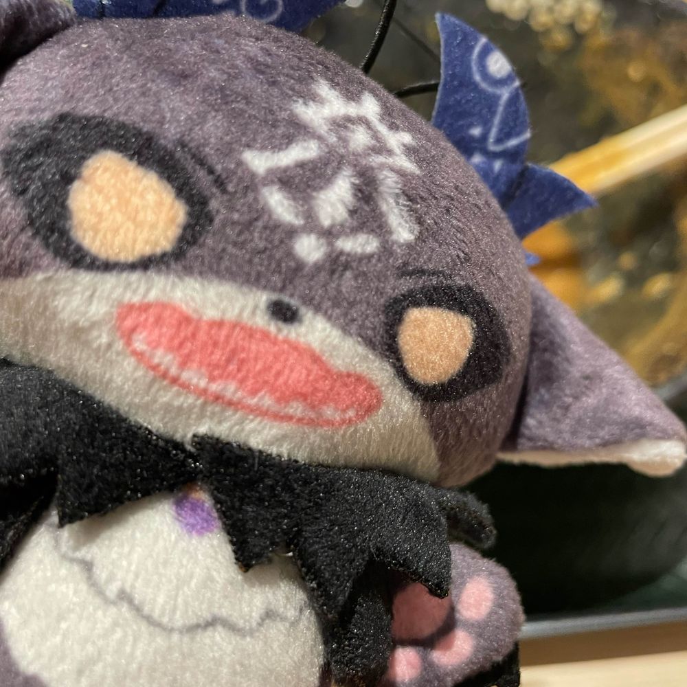 かさ