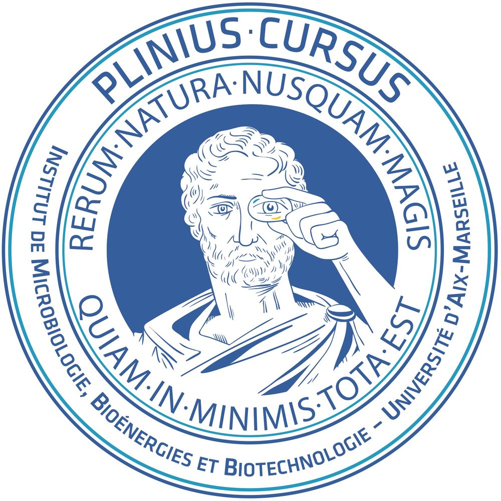 IM2Bformation Plinius Cursus