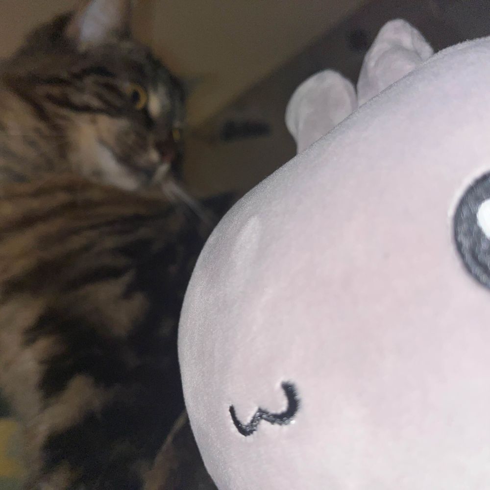kadeeeee :3