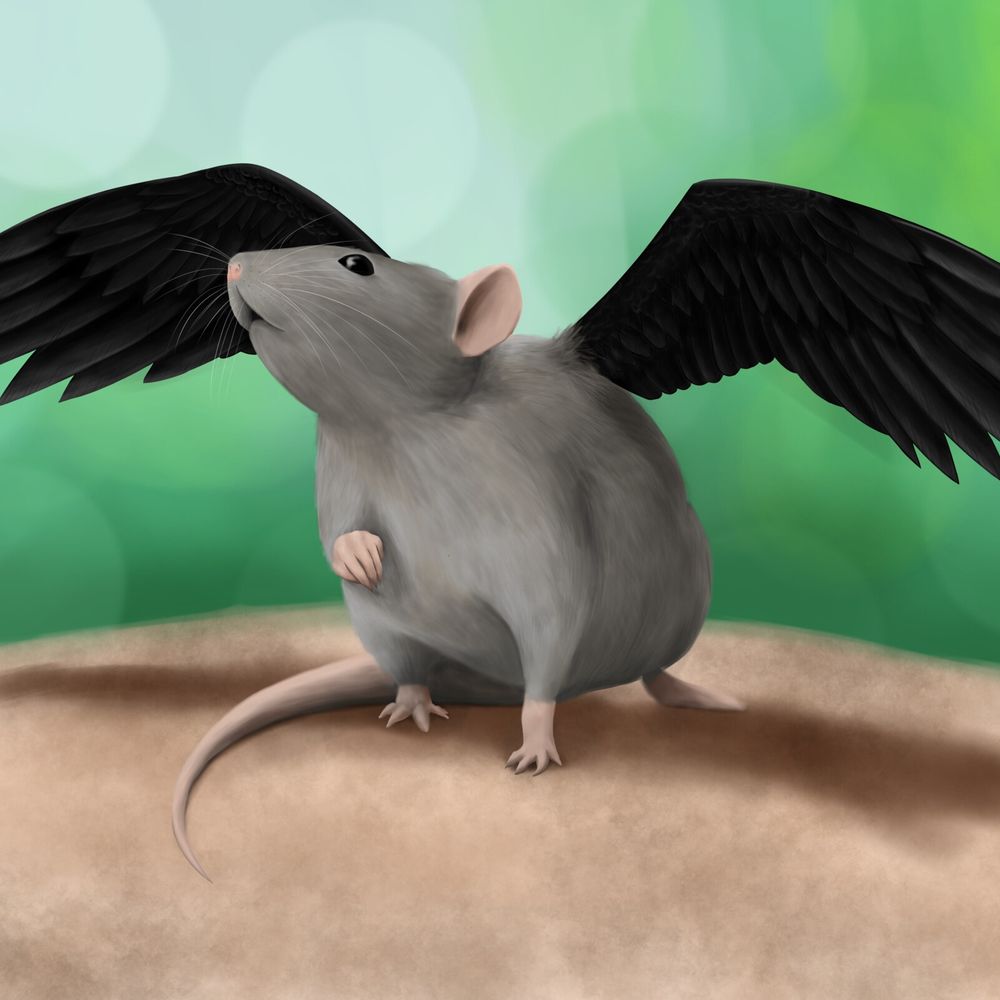 Ratswing 