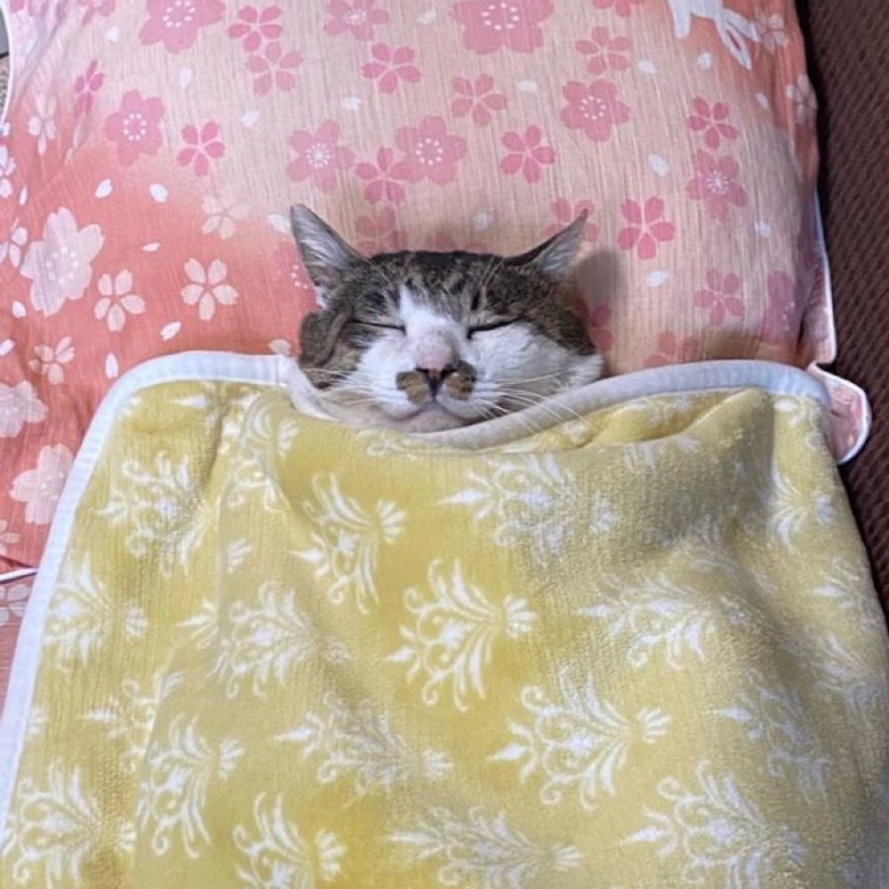 써머