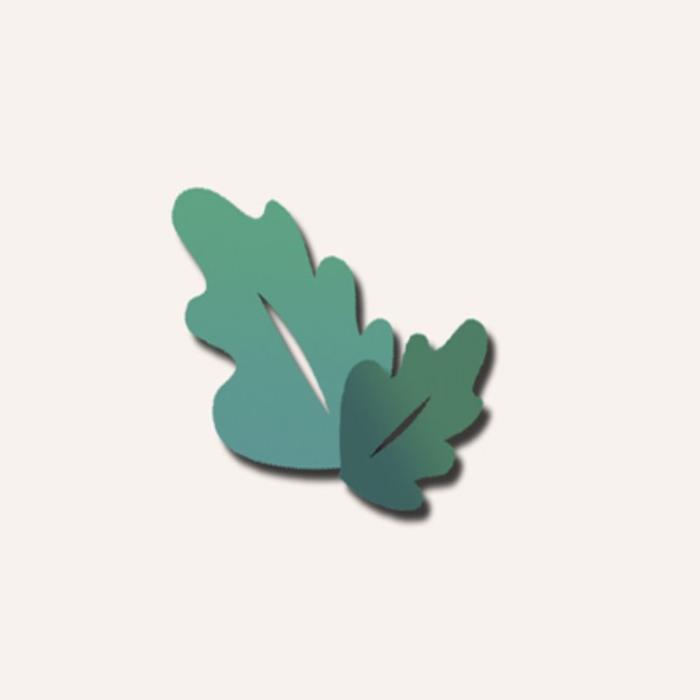 알로하