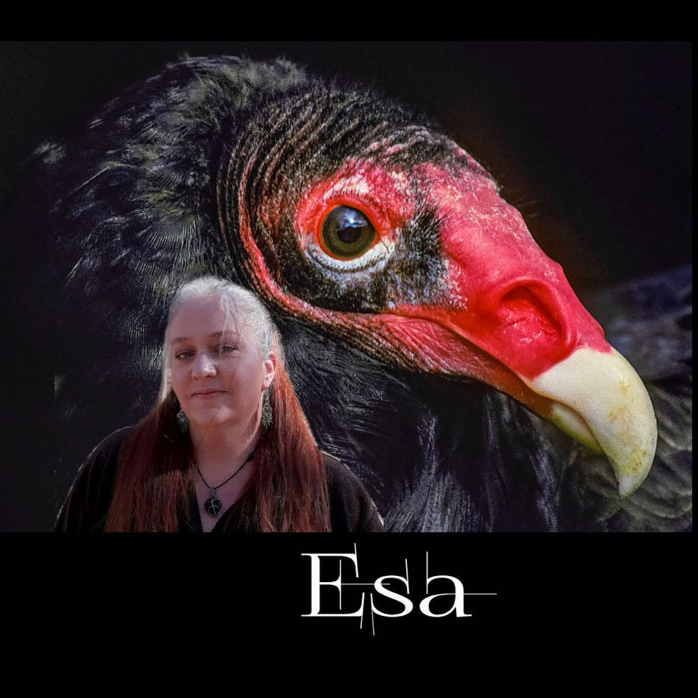 Esa's Valley