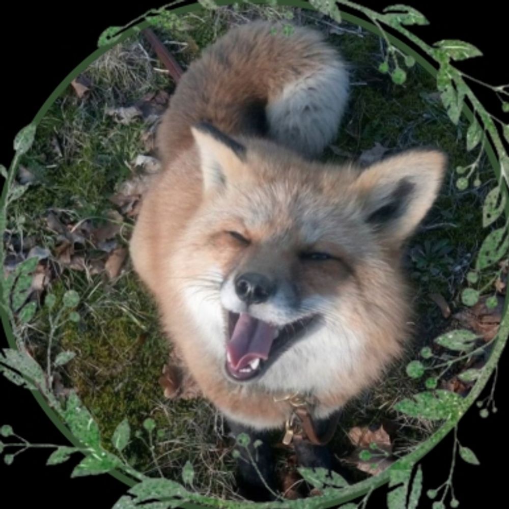 Binxie