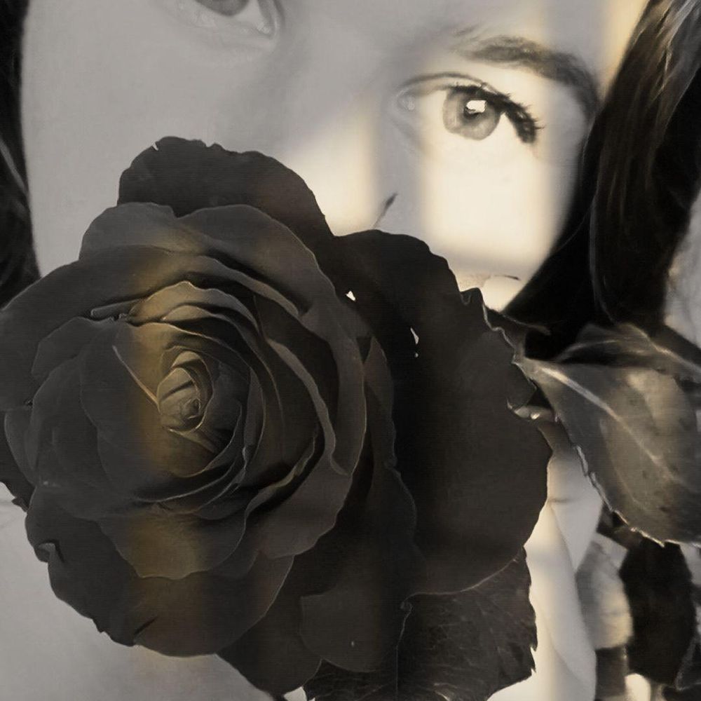 BlaueRose19