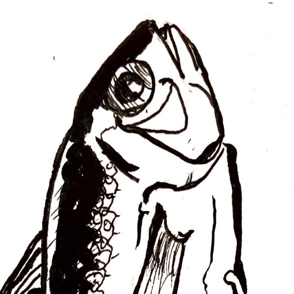 Pico De Squid