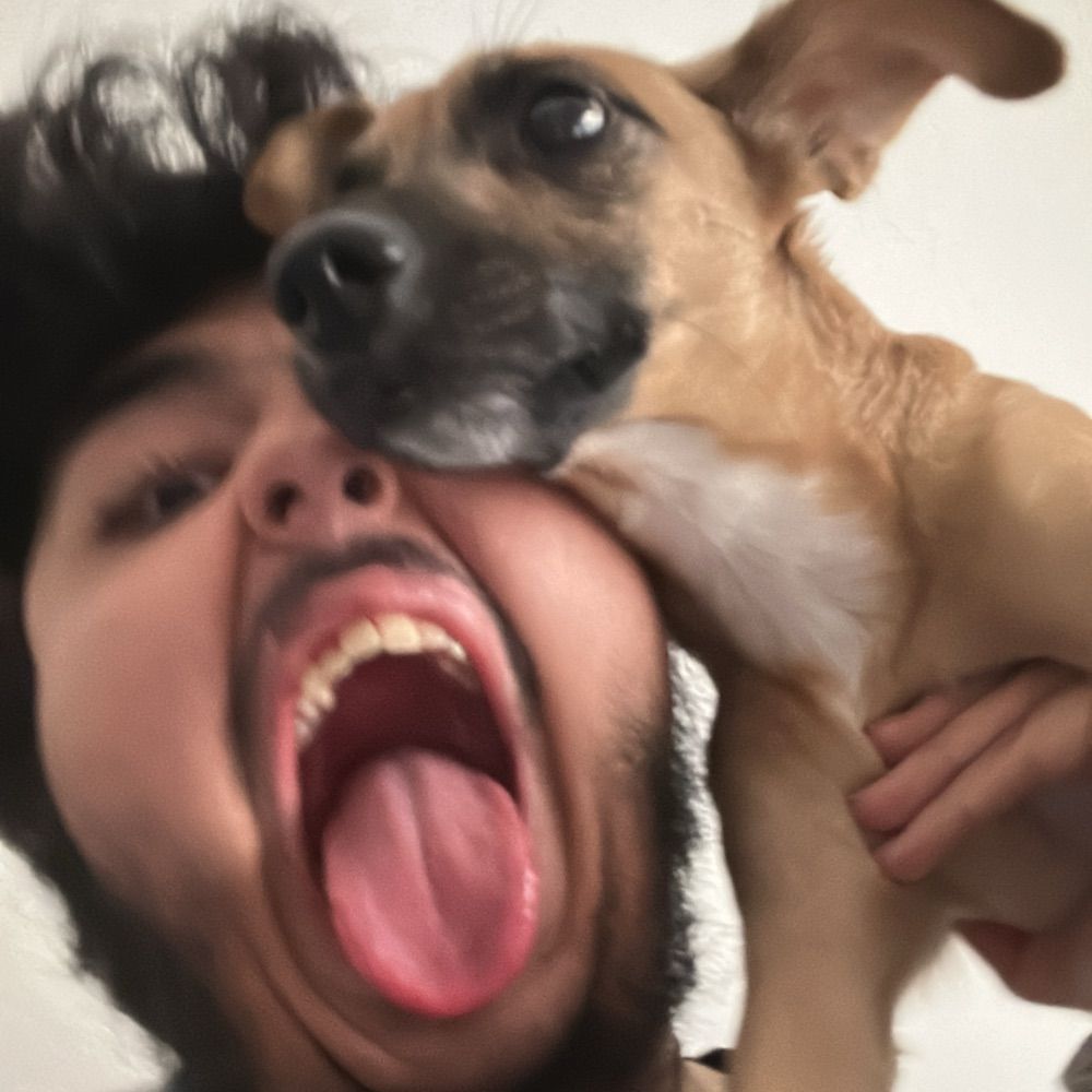 webson aka thalles, o capelli 