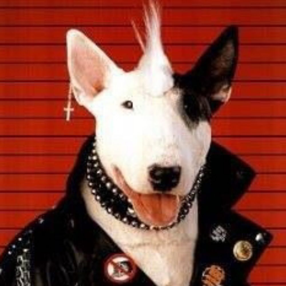 Gikpunk