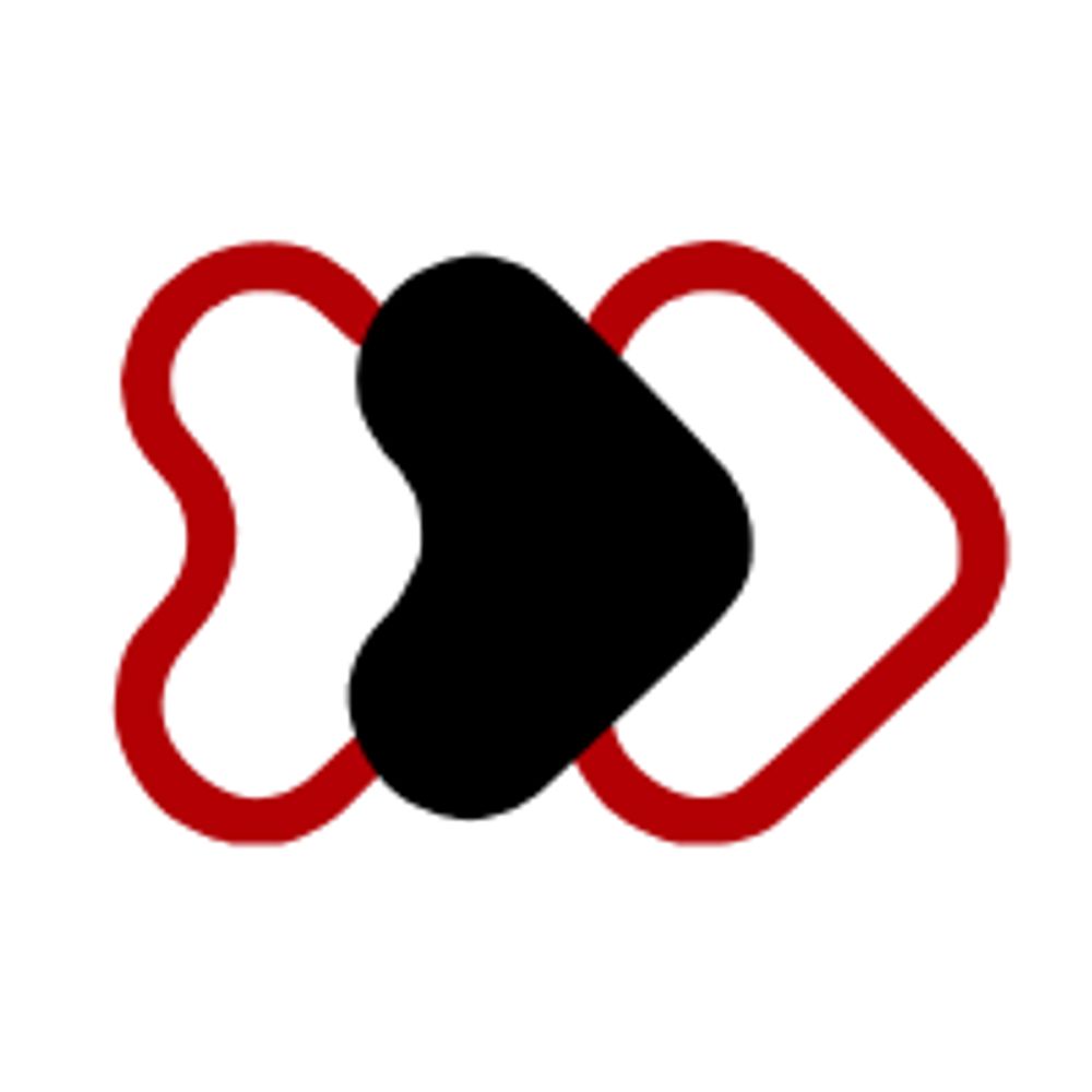 Electronic Immigration Network