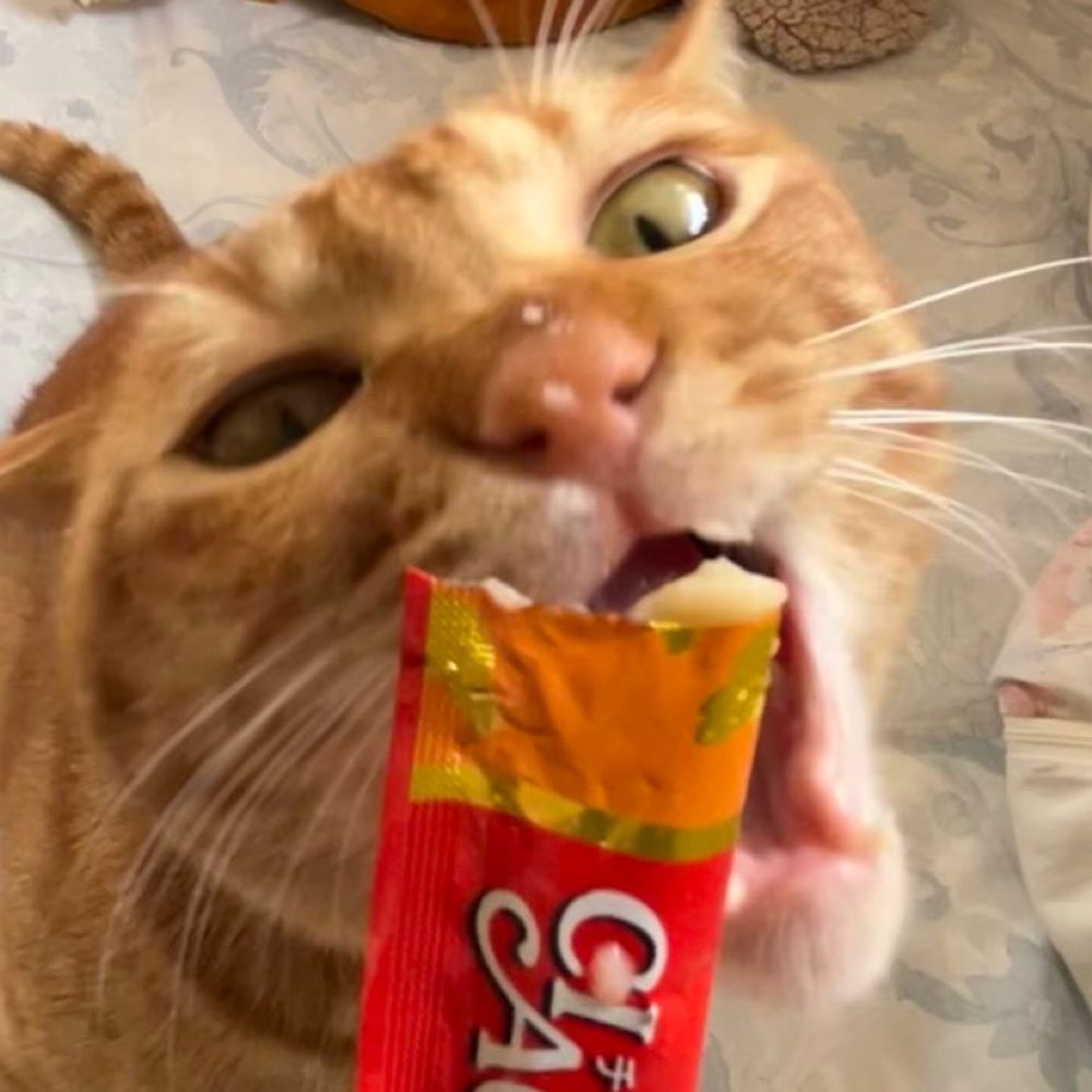 トォ 