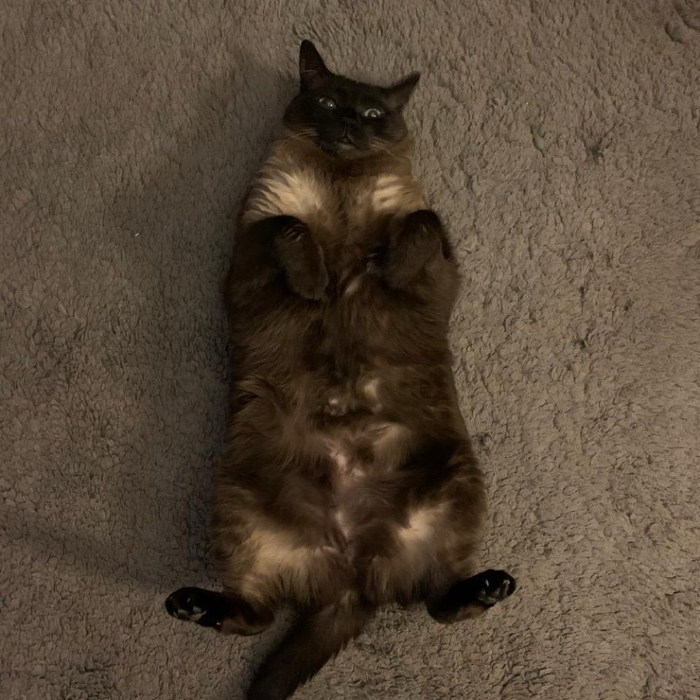 Walter