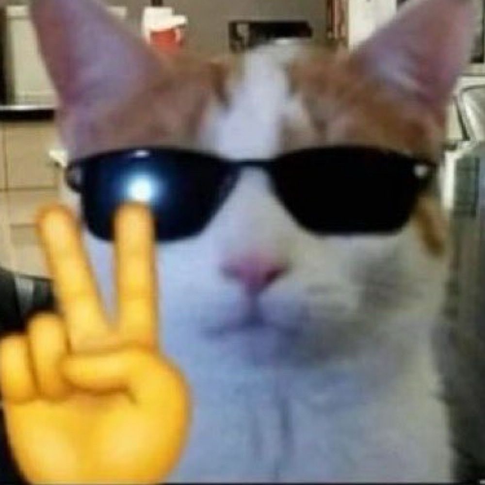 melissarjs