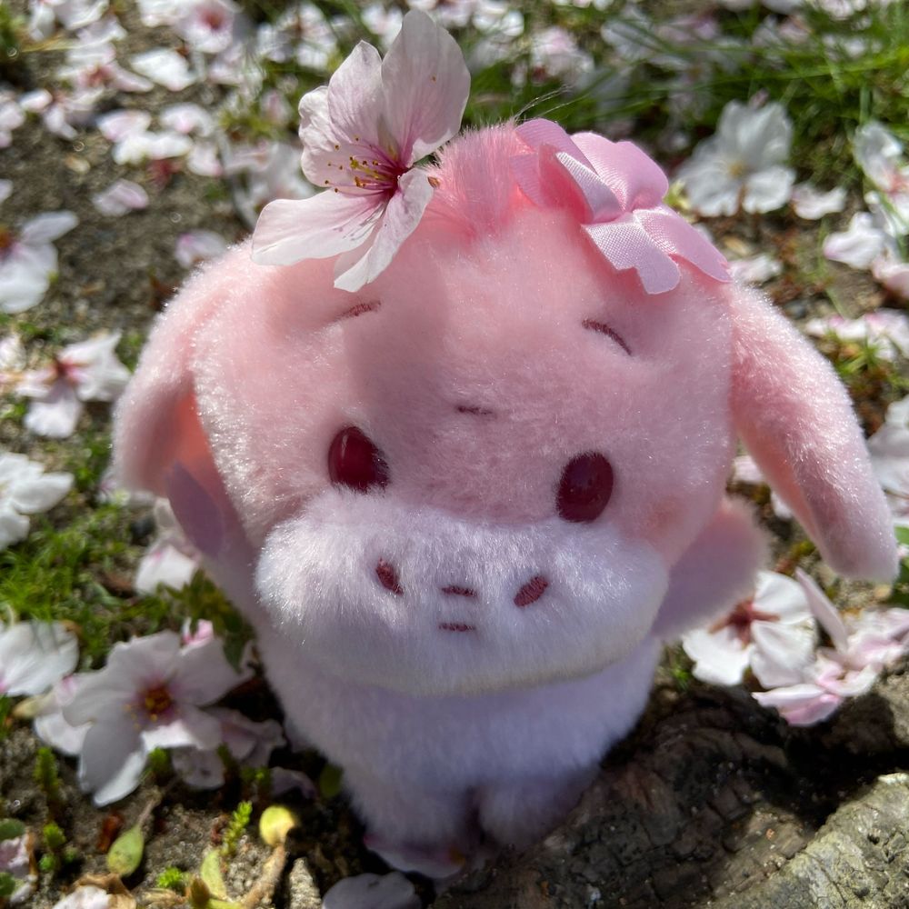 まじゅん