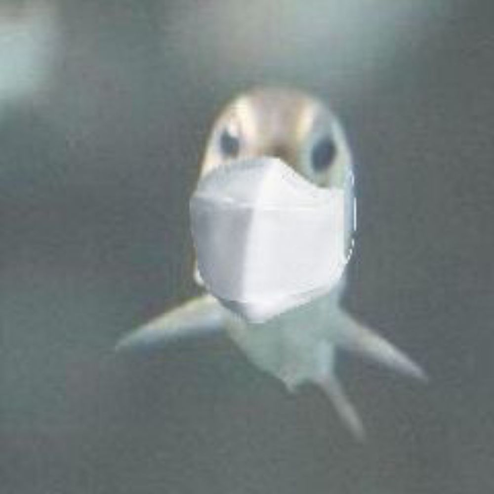 토토티