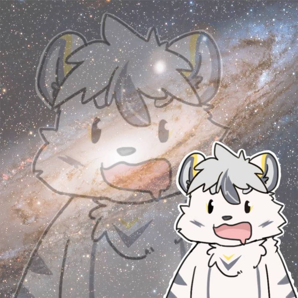 匿影虎泽