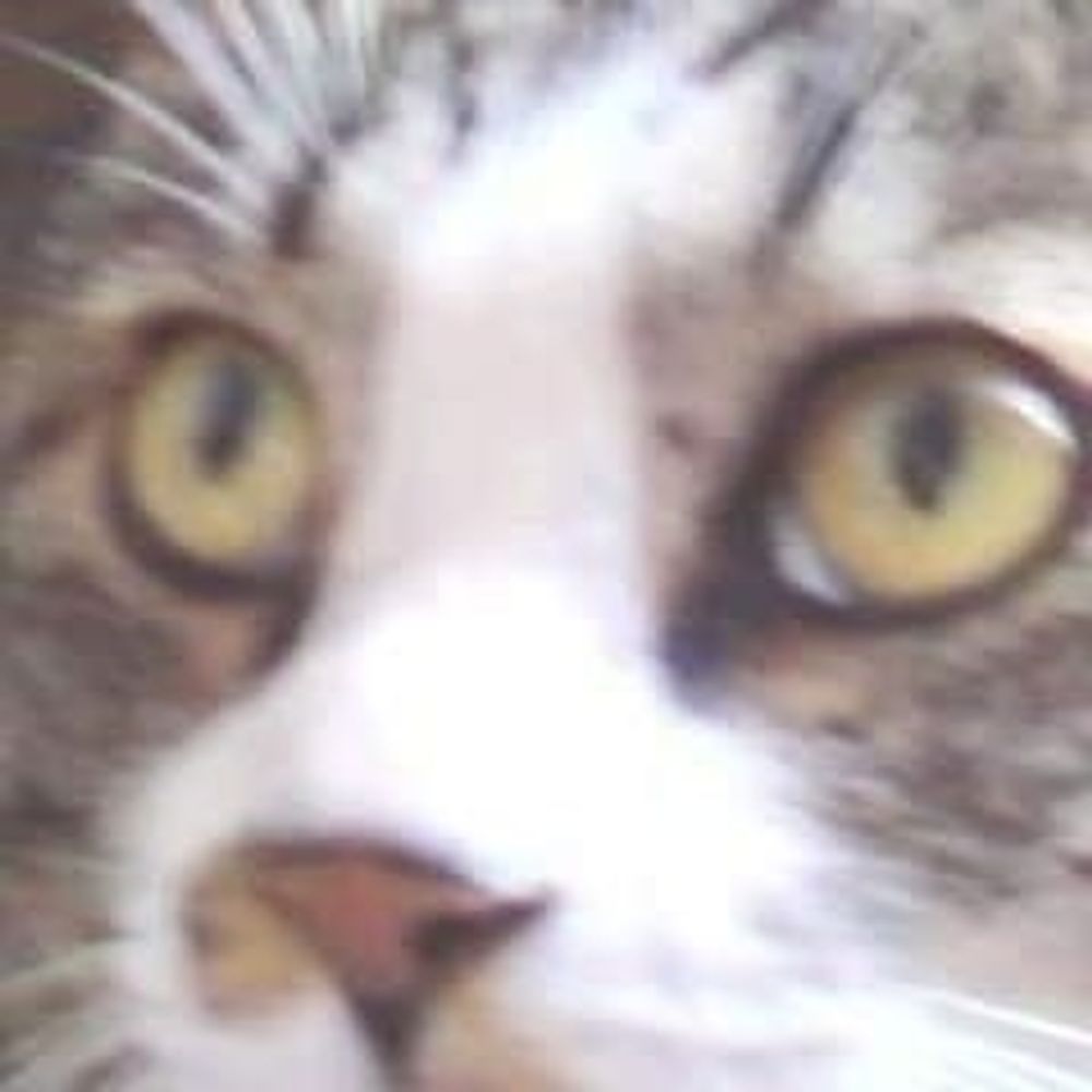 RIK