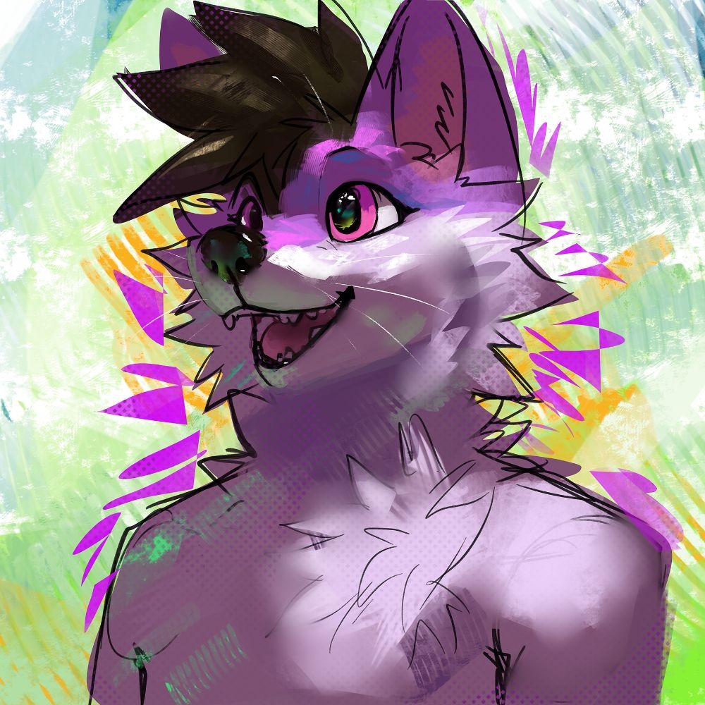 winterfolfsky.bsky.social