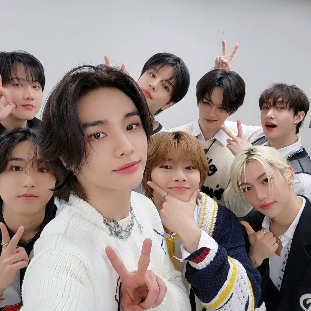 Stray Kids Daily 's avatar