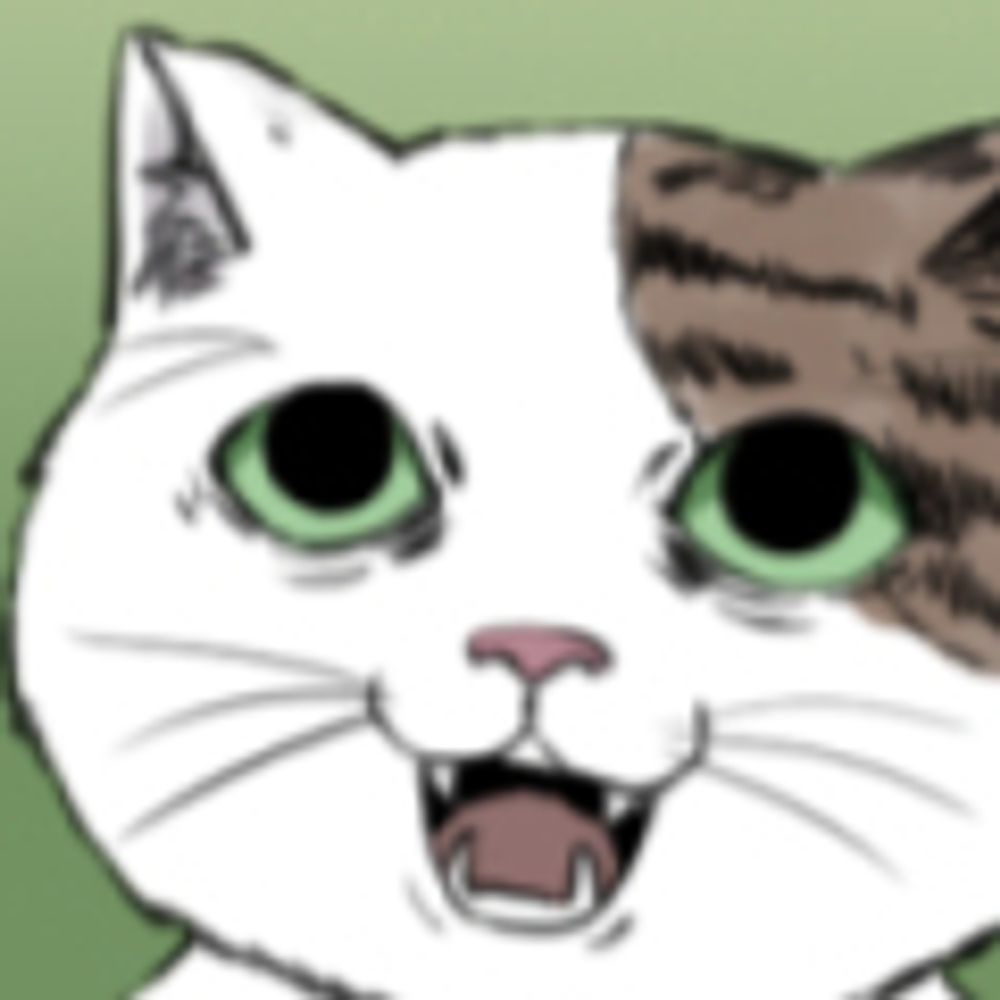 猫頭巾