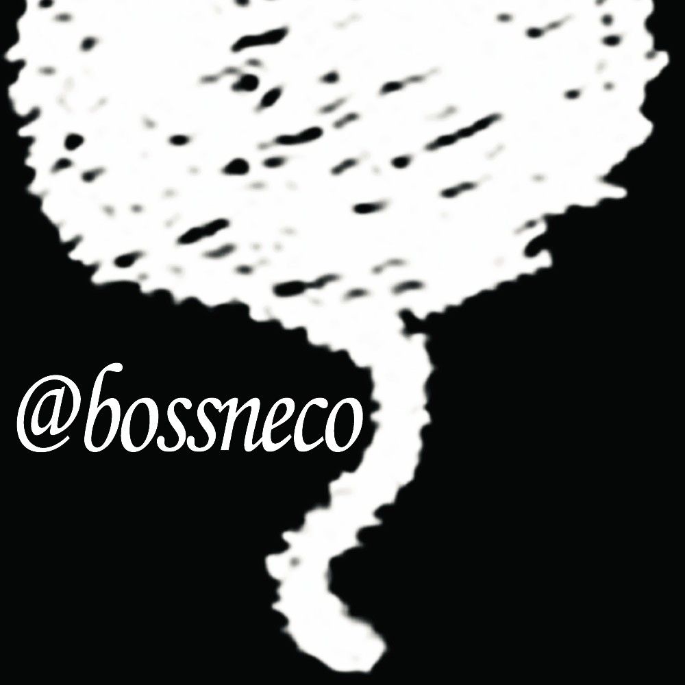 bossneco