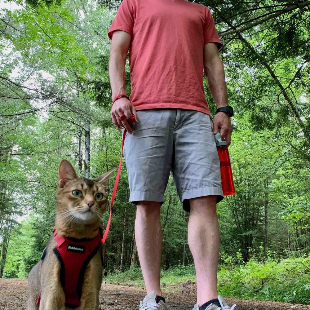 Jon Petkun