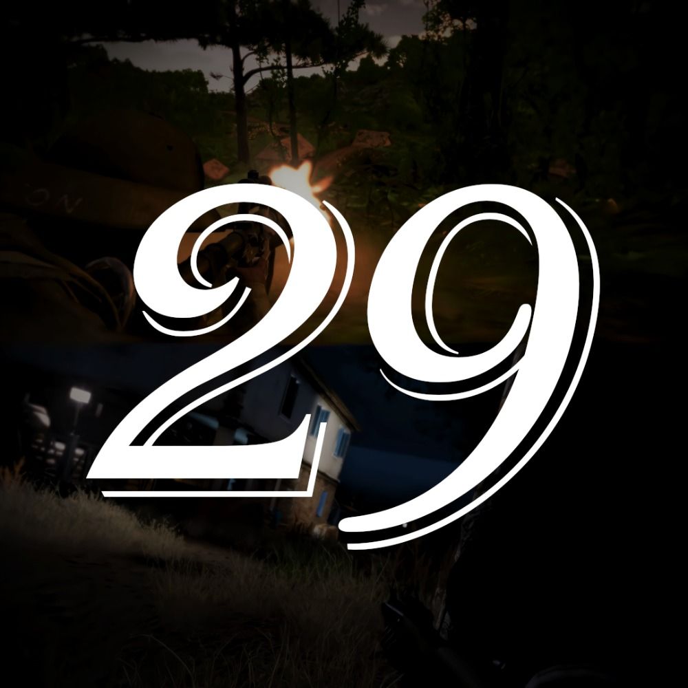 29/P4TCH3R